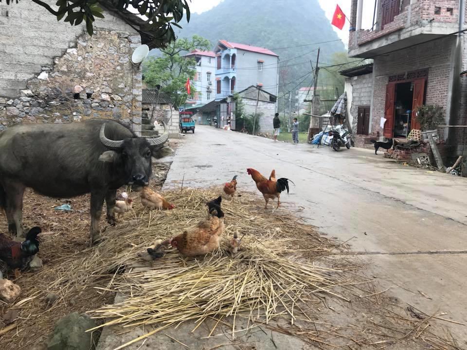 A Sy Ban Gioc Homestay - Nha San Da Co Cao Bang Buitenkant foto